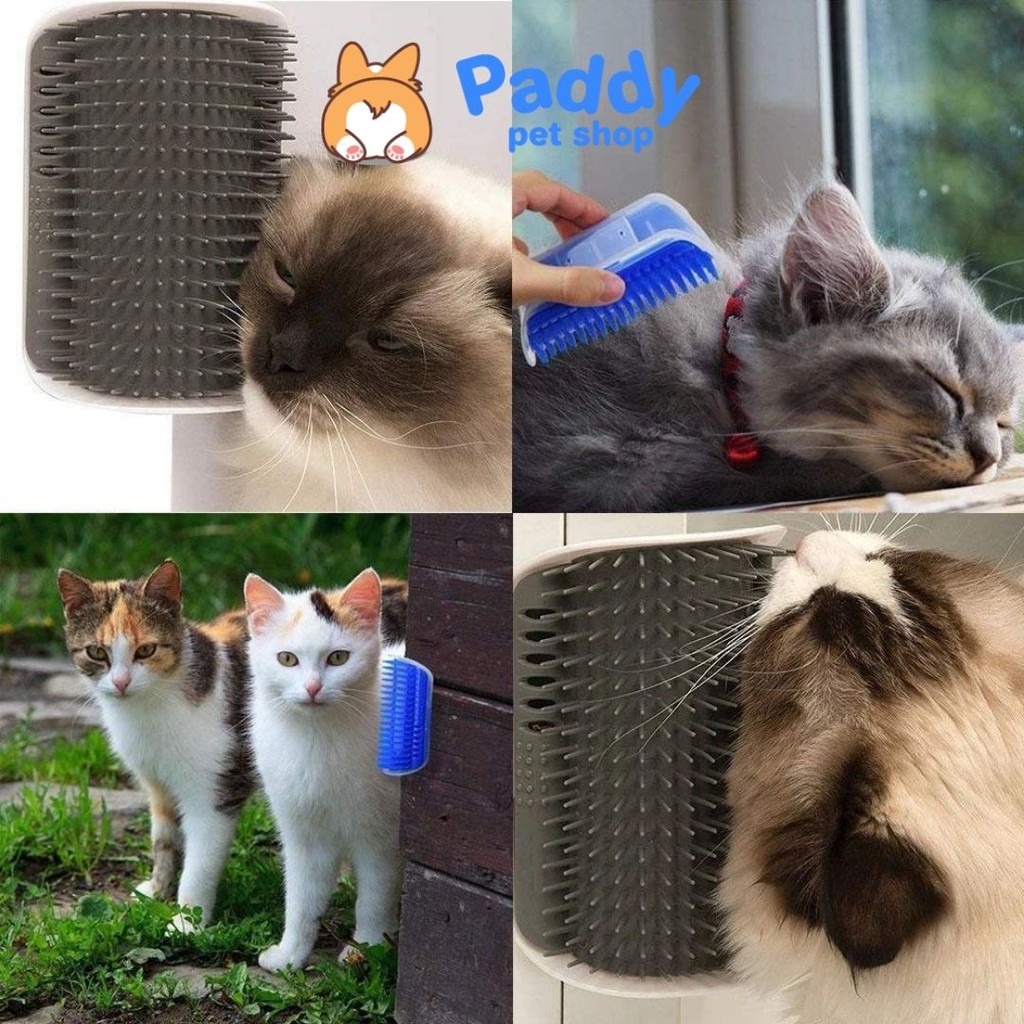 Lược Cố Định Cho Mèo Tự Chải Lông Chứa Cỏ Mèo