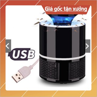 Đèn bắt muỗi và diệt côn trùng thông minh