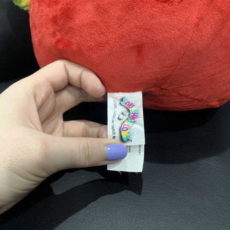 Gấu Squishmallow vẹt