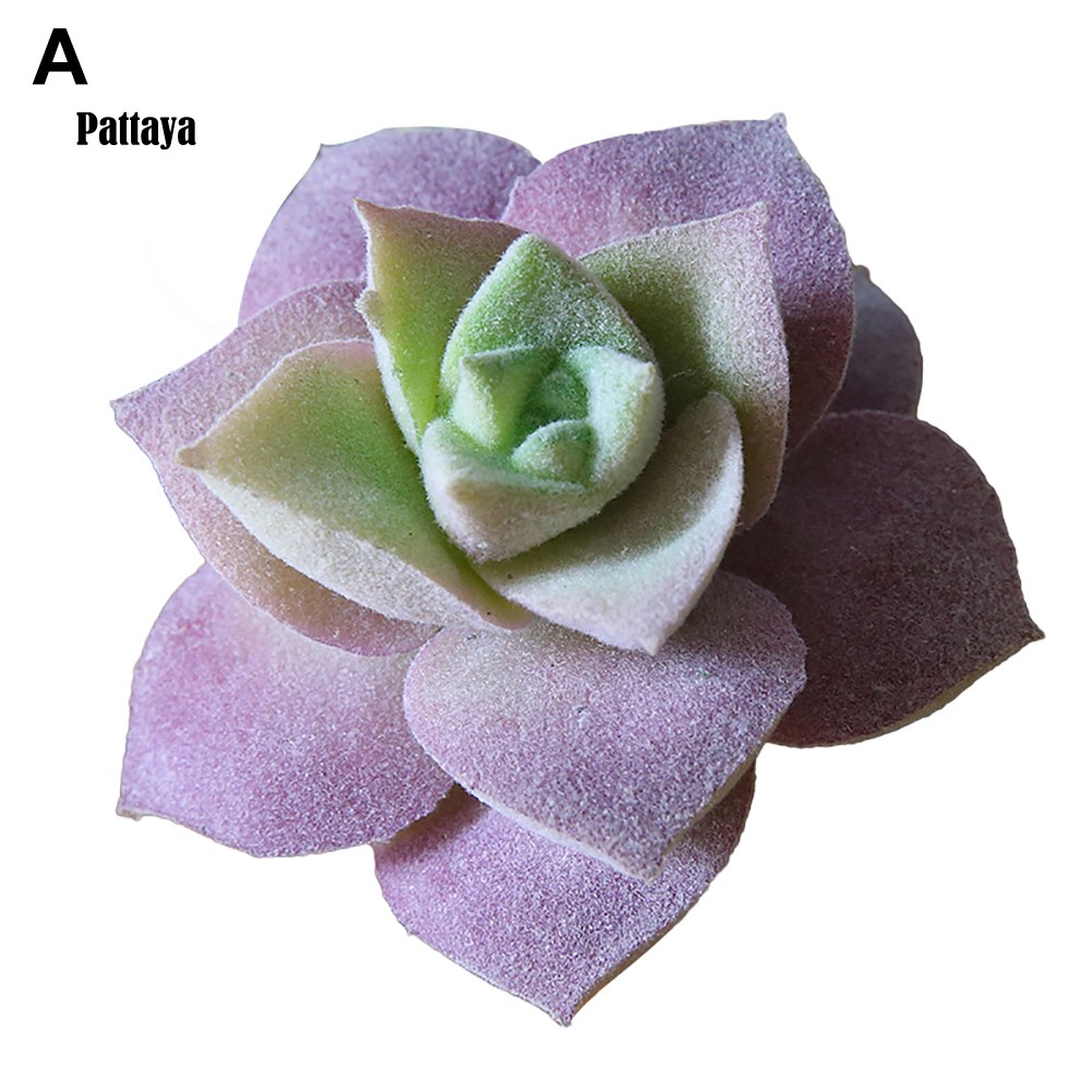 1 Cây Cảnh Giả Bằng Nhựa Cho Trang Trí