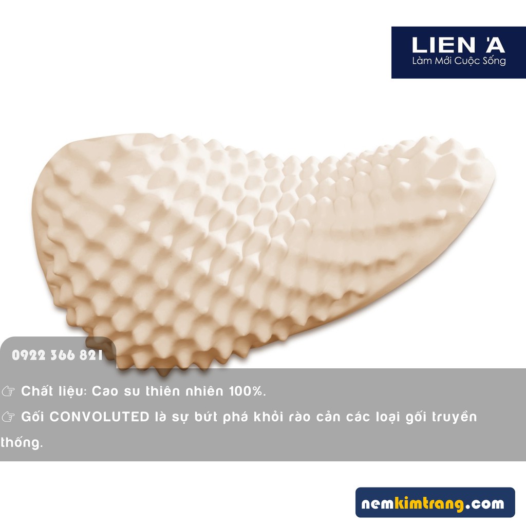 Gối cao su Convoluted Peanut Liên Á - GIẢM THIỂU ĐAU NHỨC, SỰ KẾT HỢP HÀI HÒA CHO GIẤC NGỦ ÊM SÂU