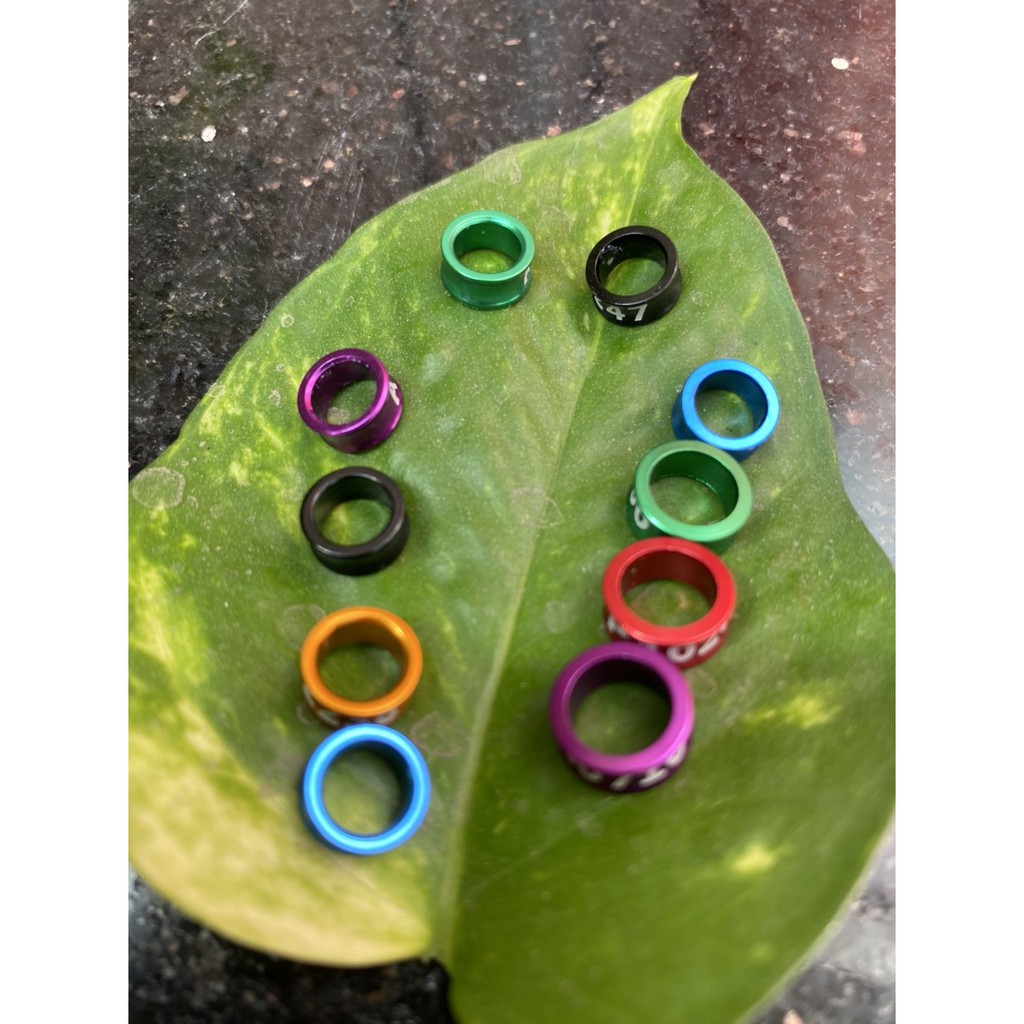 Bộ 10 Vòng Đeo Chân Chim Nhiều Màu Sắc