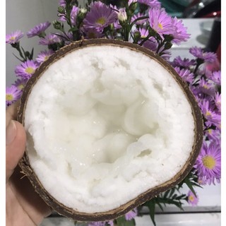 Dừa sáp bi Trà Vinh đặc ruột dưới 900g