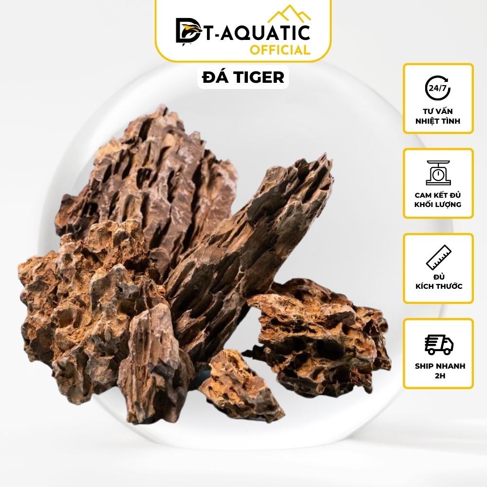Đá Tiger  Setup Bể Thuỷ Sinh,Tiểu Cảnh Bán Cạn, Trang Trí Bể Cá Cảnh