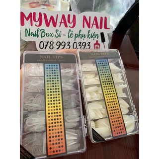 móng úp Nailtips From Bầu