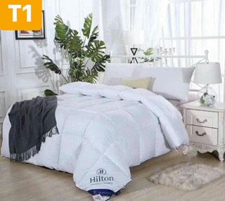 Ruột chăn lông vũ nhập khẩu hinton 2m*2m3