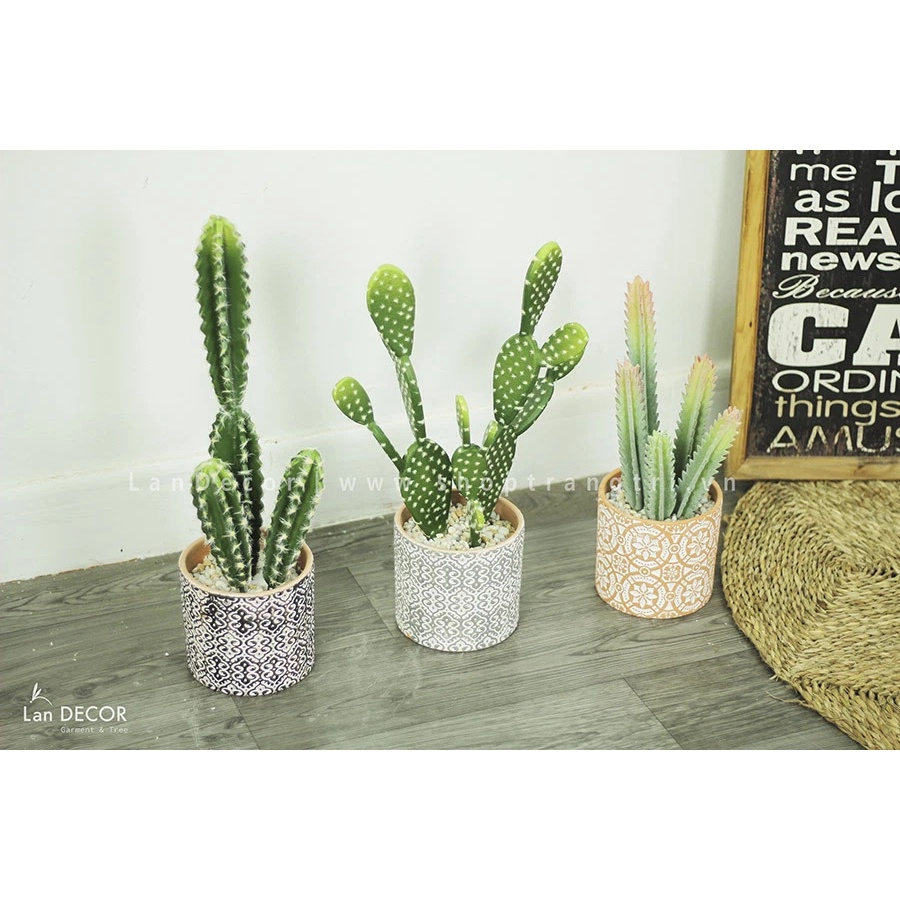 CÀNH XƯƠNG RỒNG TRỤ  15CM, 40CM,55CM
