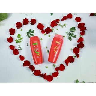 [Sale] Combo Dầu Gội_Dầu Xả Thái Dương 3(Chai 200ml) [ Cam Kết Chính Hãng Công Ty Sao Thái Dương]