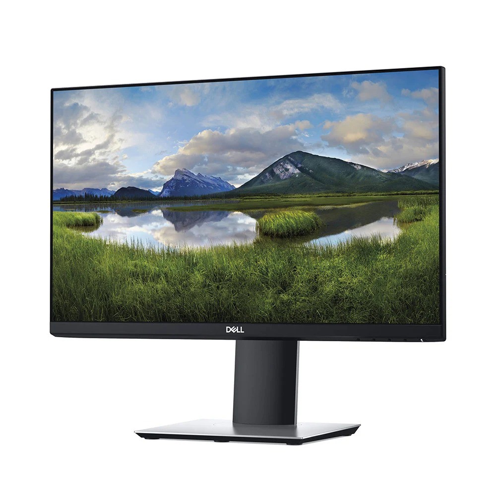 Màn hình LCD DELL 21.5" P2219H Pro | BigBuy360 - bigbuy360.vn