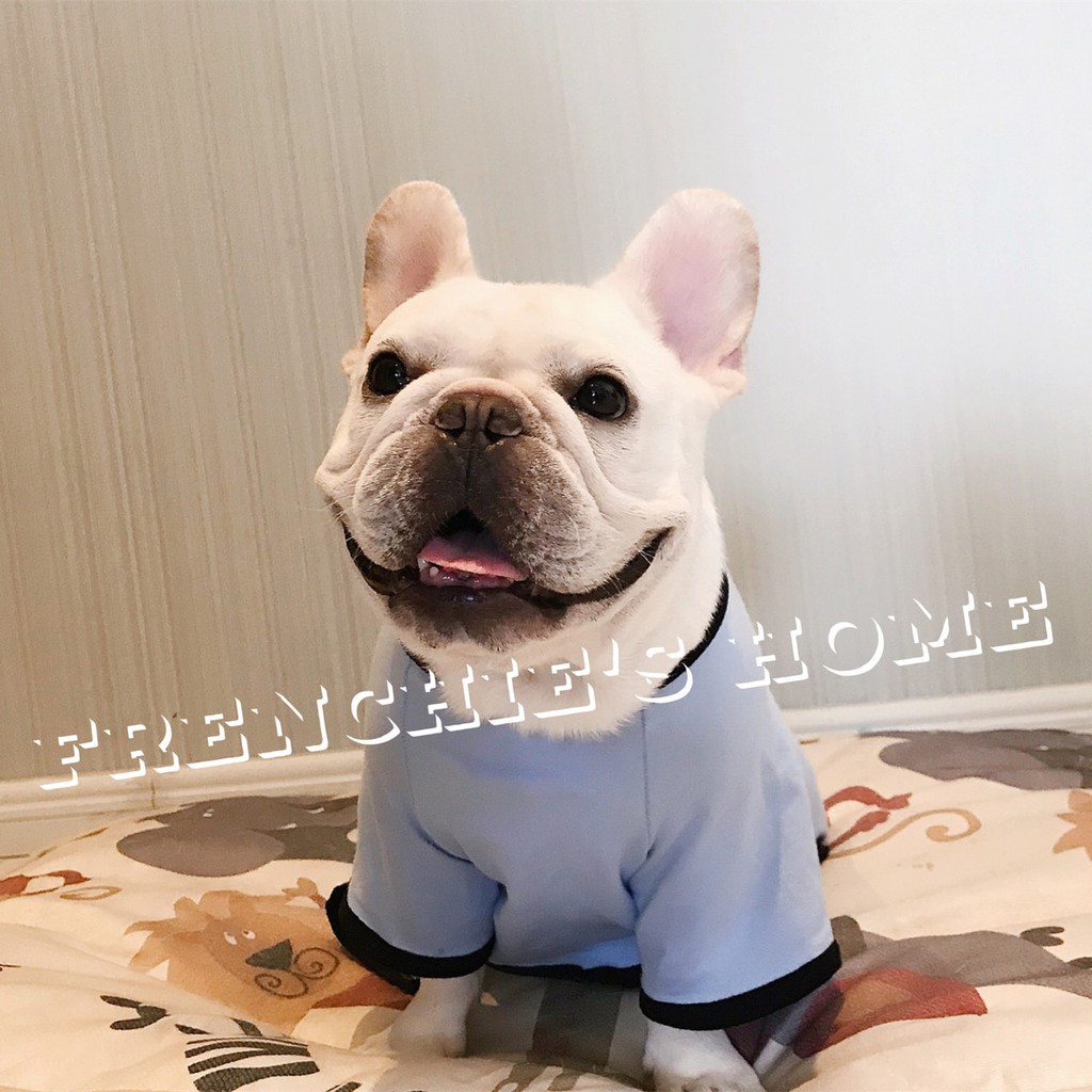 BỘ BODYSUIT "MẶT BULL PHÁP FRENCH BULLDOG HỒNG & XANH" CHO CHÓ BULL/PUG ( FRENCHIE'S BODYSUIT )