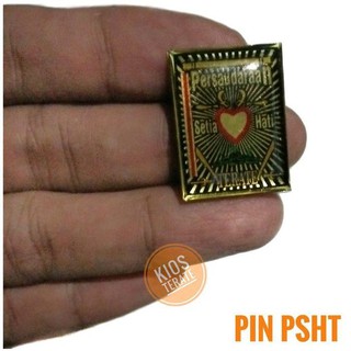 Ipsi & PSHT Pin / Mini Bằng Silicon