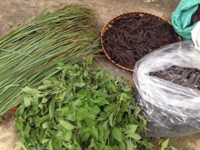 Túi lọc thảo dược bồ kết 1 bịch 20 gói Bao bì mới | BigBuy360 - bigbuy360.vn