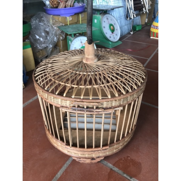 Lồng gáy Bắc giang