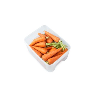 HỘP NHỰA BIOZONE KB-FR1000S 1000ML
