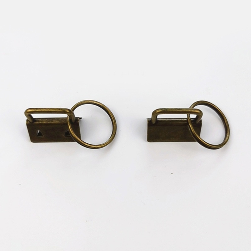 Bộ 40 Móc Khóa Cho Chìa Khóa Xe Hơi