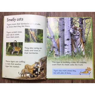 Usborne Beginners Series Science Collection 10 Books.
