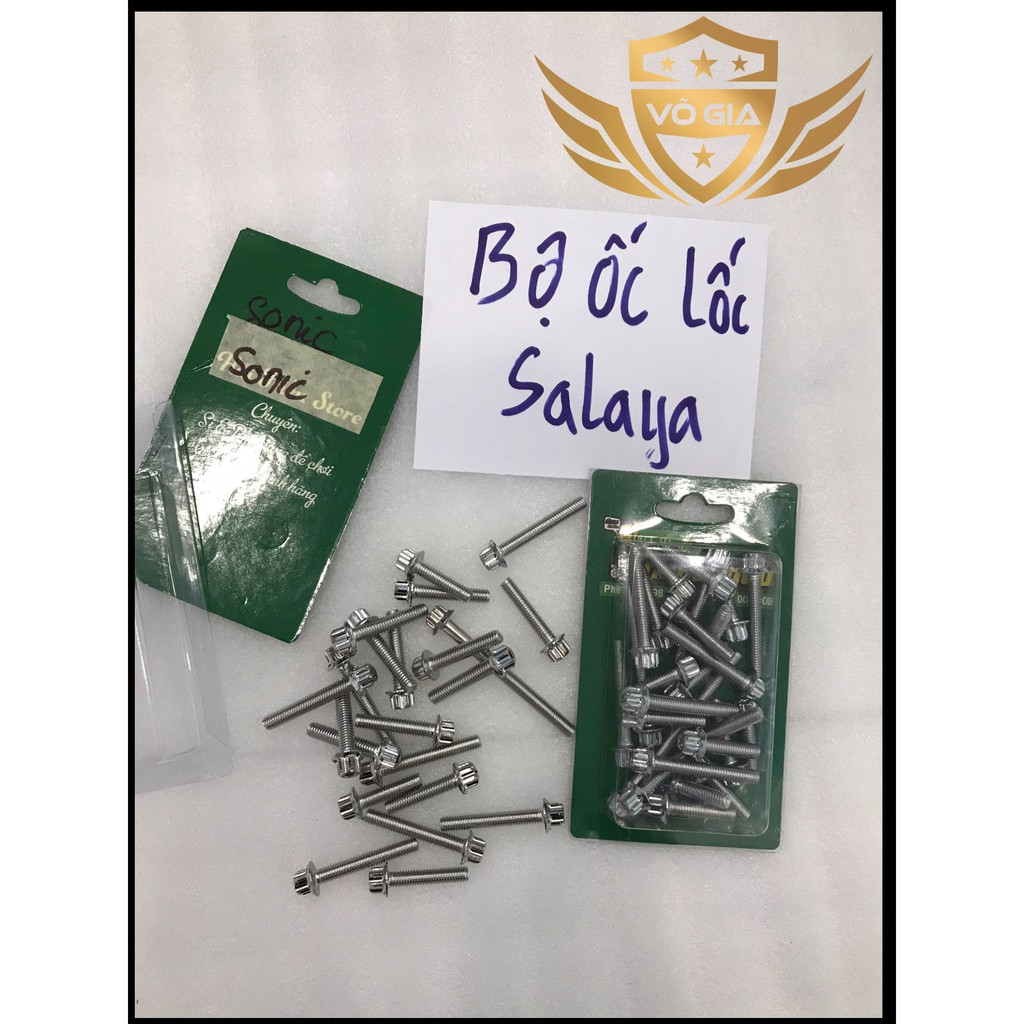 Bộ Ốc Lốc Máy Salaya Winner - Sonic - Raider - Satria - Exciter