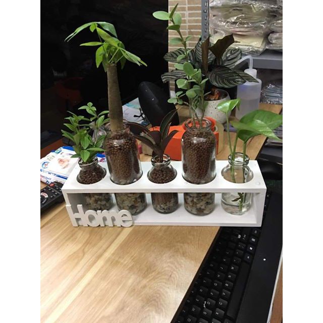 5 lọ hoa trang trí