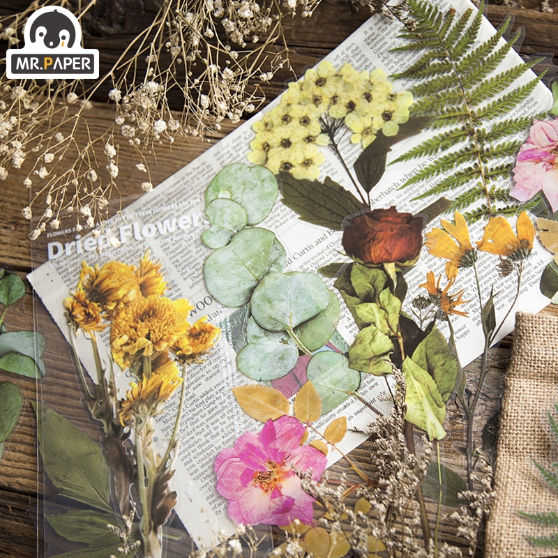 Set 6 nhãn dán hình hoa lá nhiều kiểu dáng tùy chọn dùng trang trí sổ/album độc đáo