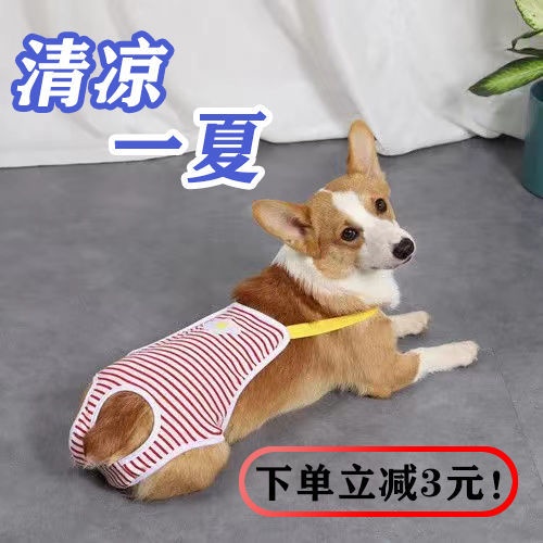 Dog Physiological Pants Quần áo cho thú cưng Cún con chọi chó Corgi Teddy Bichon kinh nguyệt Quần sinh lý dì Quần an toà