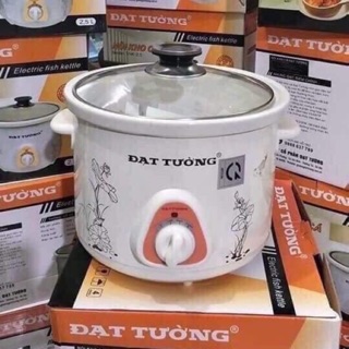 Nồi nấu cháo chậm Đạt Tường