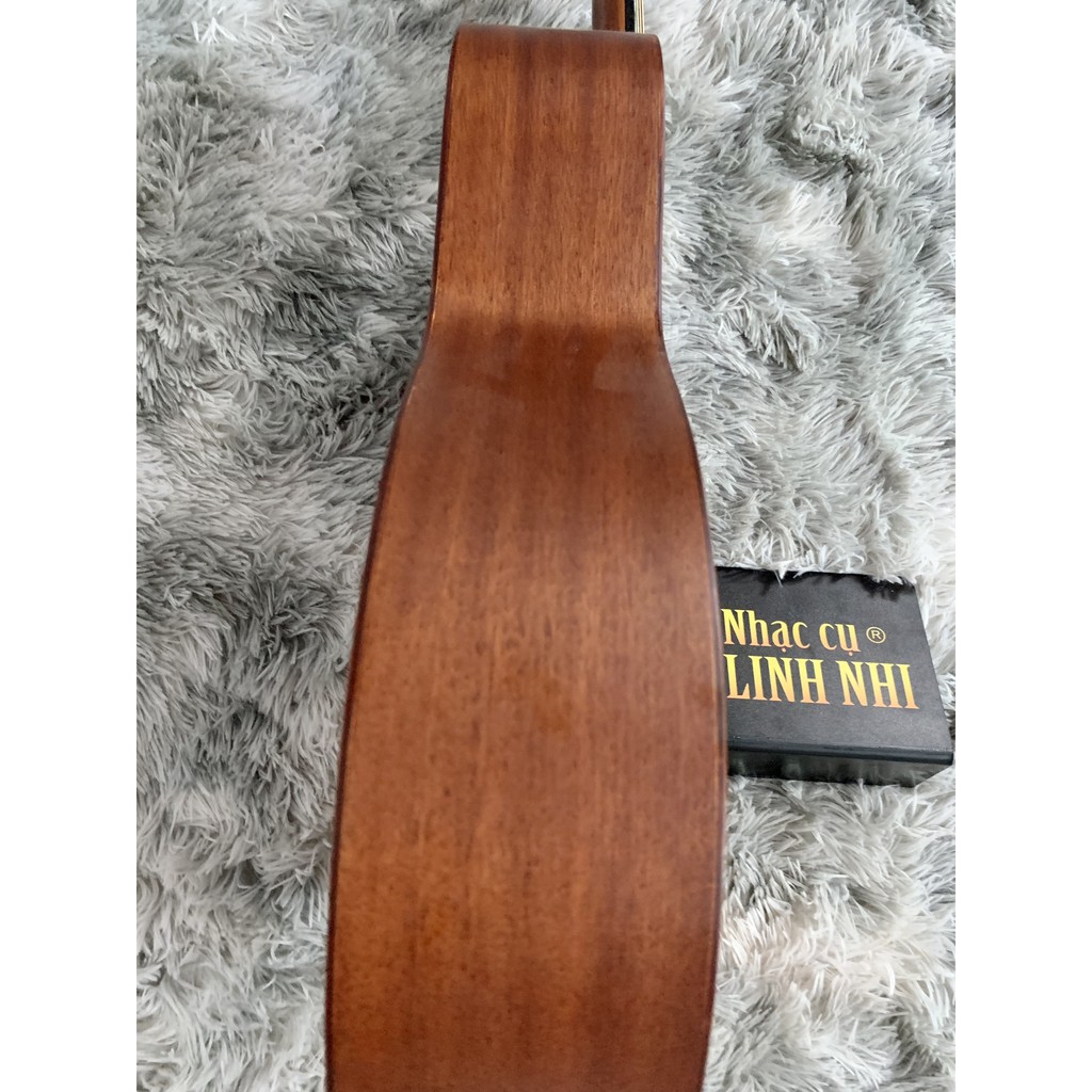 Đàn guitar acoustic taylor T0021