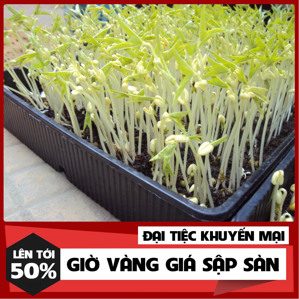 100 Gram Hạt Mầm Giá Đậu Xanh Phú Nông