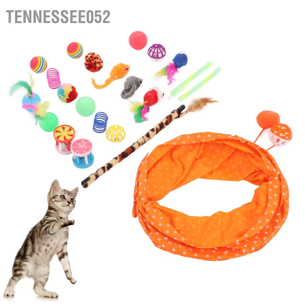 Tennessee052 22 cái Đồ chơi cho mèo Nhiều sự kết hợp khác nhau quả cầu lông vũ tương tác