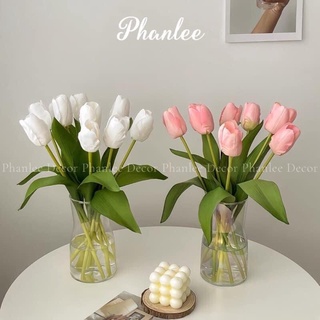 Hoa tuylip decor