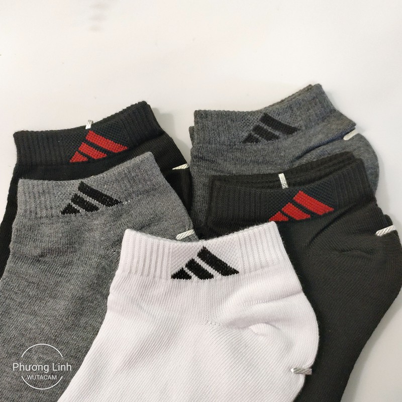 Tất nam cổ thấp thể thao thời trang cao cấp, cotton chống mùi hôi thoáng mát giao màu ngầu nhiên