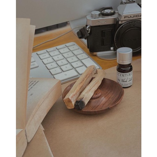 PALO SANTO -GỖ THANH TẨY NĂNG LƯỢNG