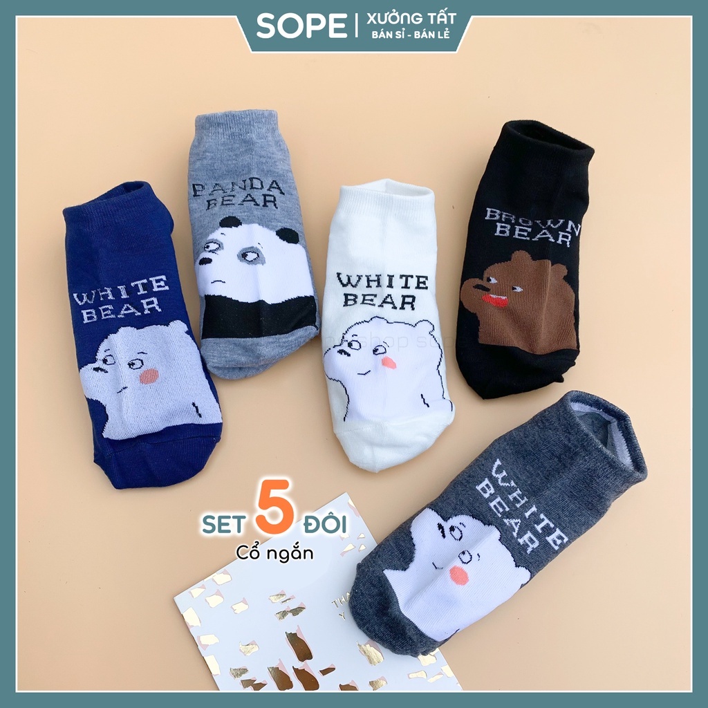 Tất vớ cổ ngắn nam nữ họa tiết hình gấu dễ thương - Sope Shop