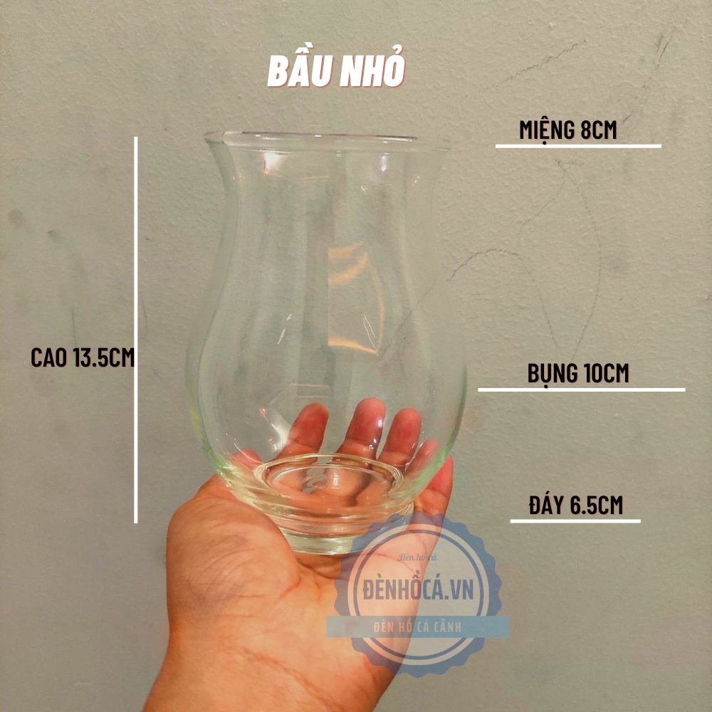 Chậu thủy tinh mini , chậu hoa thủy tinh , chậu thủy tinh mini tai bèo