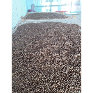 500GR Hạt Macca Daklak