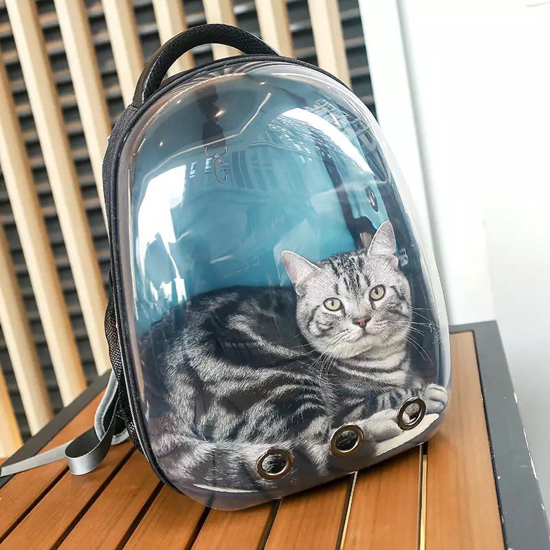 Túi vận chuyển chó mèo trong suốt