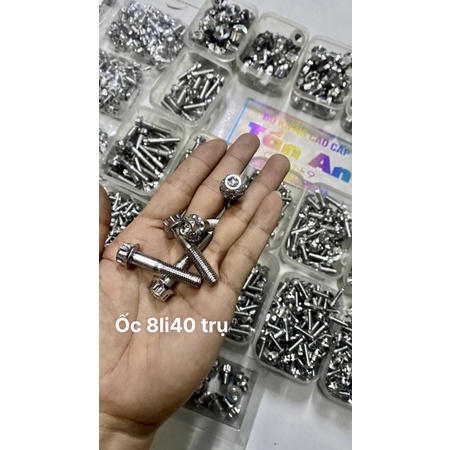 Ốc salaya 8li40