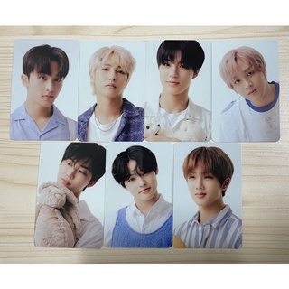 Thẻ ảnh photocard nhóm nhạc nct dream trong bộ ảnh ssg 2022