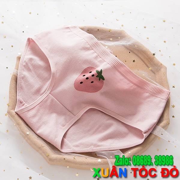 SỈ ZALO RẺ HƠN NHIỀU_ Quần Lót 5 Kiểu Dâu Tây Hồng Mới 5048 | BigBuy360 - bigbuy360.vn