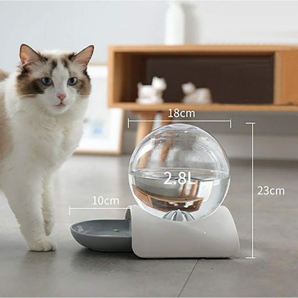 Bình đựng nước uống bong bóng cho chó mèo tự động