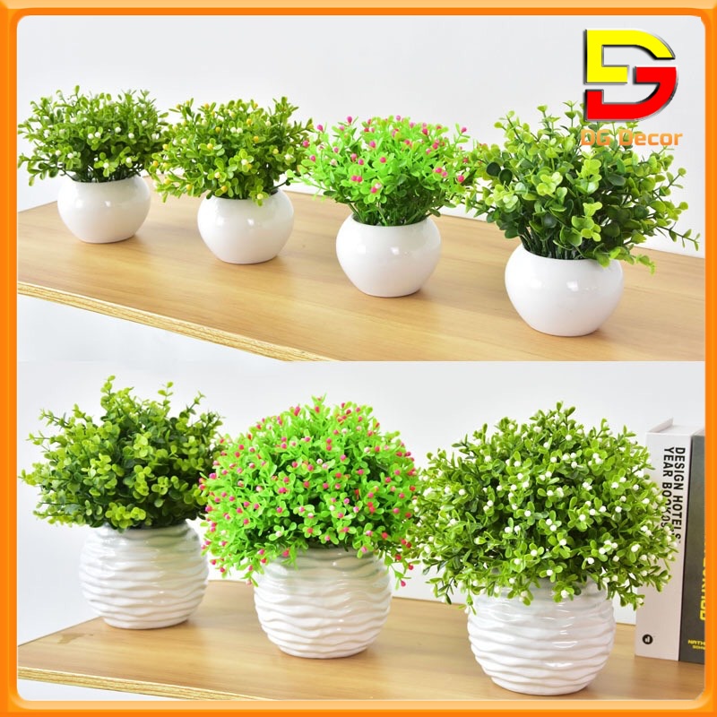Chậu Cây Mini Để Bàn Cây Giả Decor Trang Trí Nhà Cửa Cắm Sẵn Cao 25cm DC-101