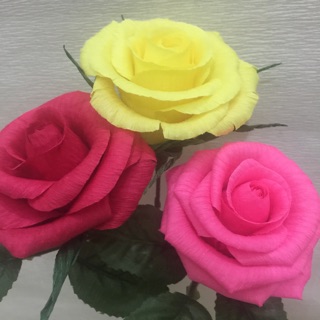 Combo Hoa Giấy Handmade-Hoa sao khô