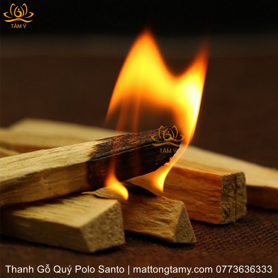 Thanh Gỗ Và Nụ Bột Gỗ Palo Santo