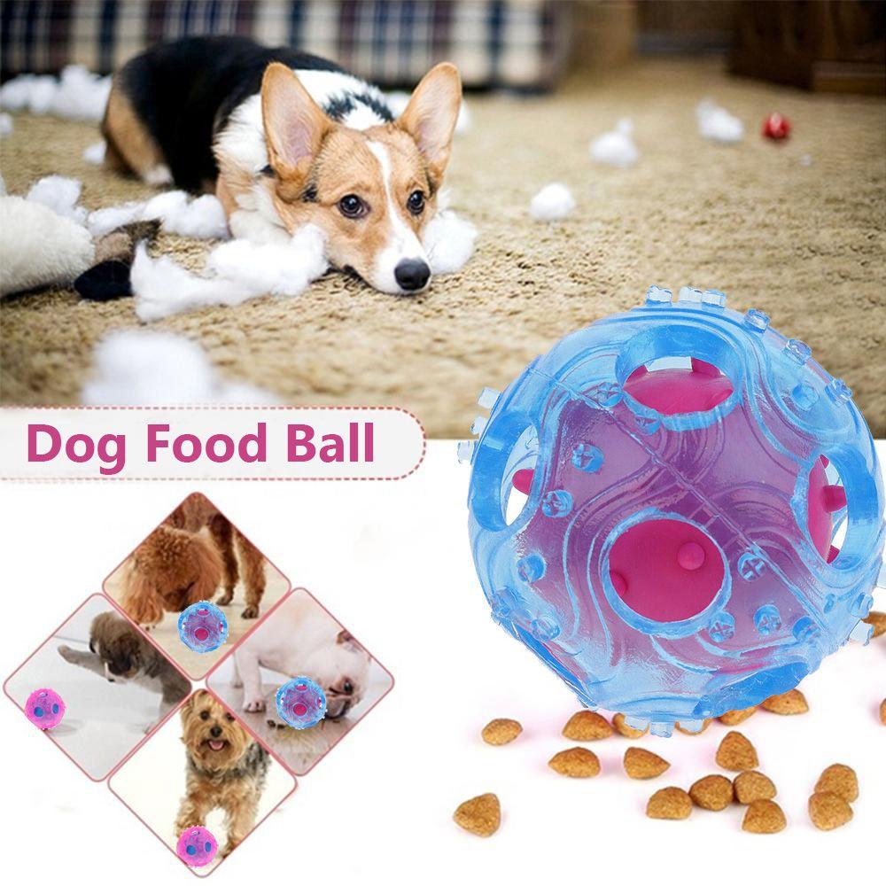 Đồ Chơi Ngậm Nướu Tương Tác Với Thú Cưng