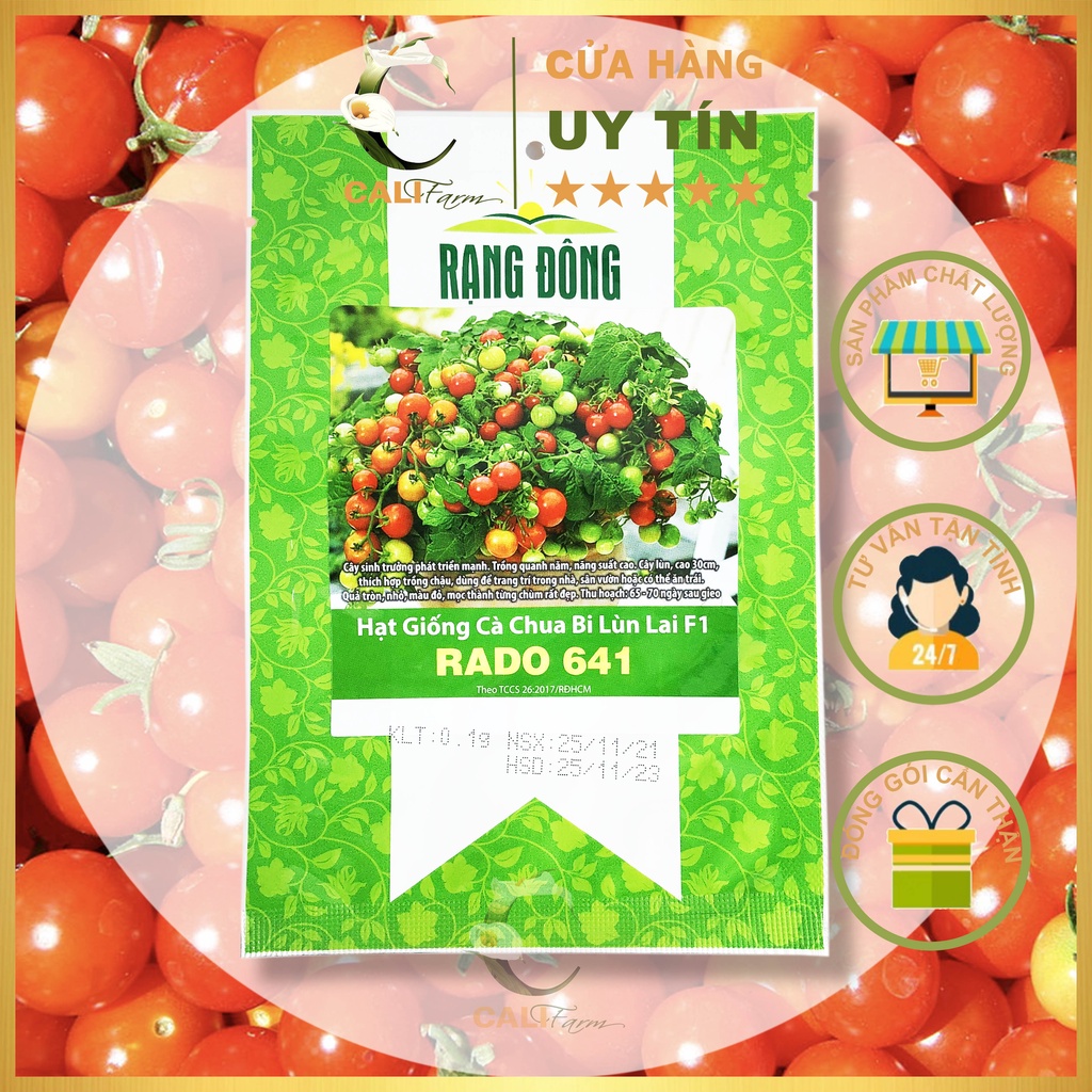 Hạt Giống Cà Chua Bi Lùn Đỏ Sai Trái Rado 641