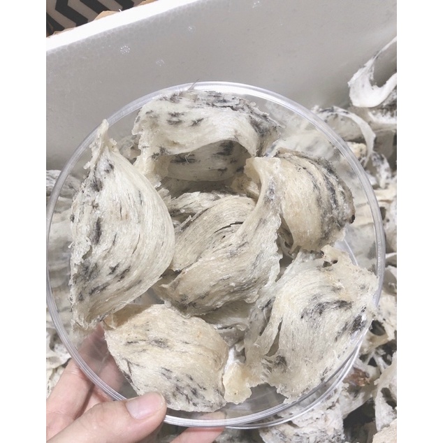 HỘP 100gram Tổ yến thô già yến nhà nuôi nguyên chất nguyên tổ shop tặng kèm nhíp và đồ chưng