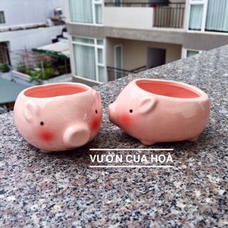 Chậu heo hồng nhỏ