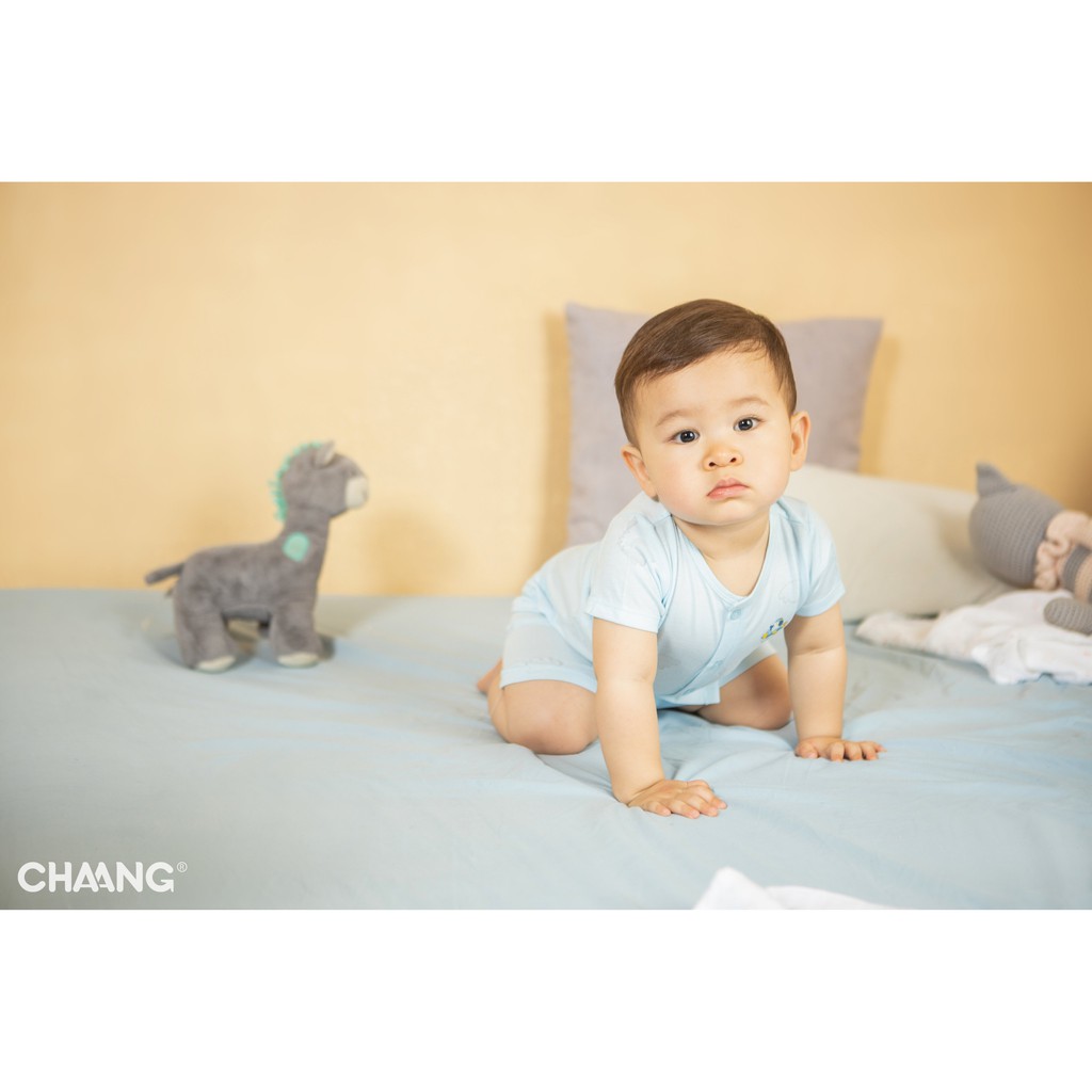 Bộ cộc tay cúc giữa Chaang summer