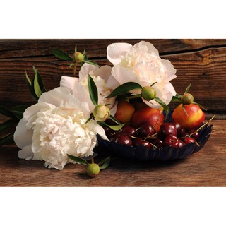 Tranh canvas treo tường Hoa Mẫu đơn - CV0202 - 60 x 40cm