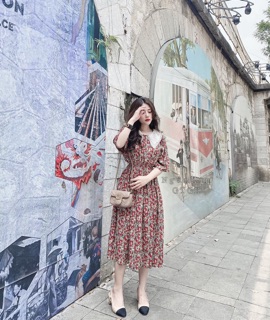 Váy hoa nhí cổ ren 2 màu
