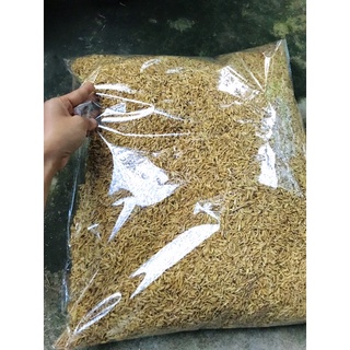 VỎ TRẤU-giá thể tăng độ thông thoáng cho môi trường rễ cây trồng,giúp cây tăng khả năng hấp thu chất dinh dưỡng,túi 10dm